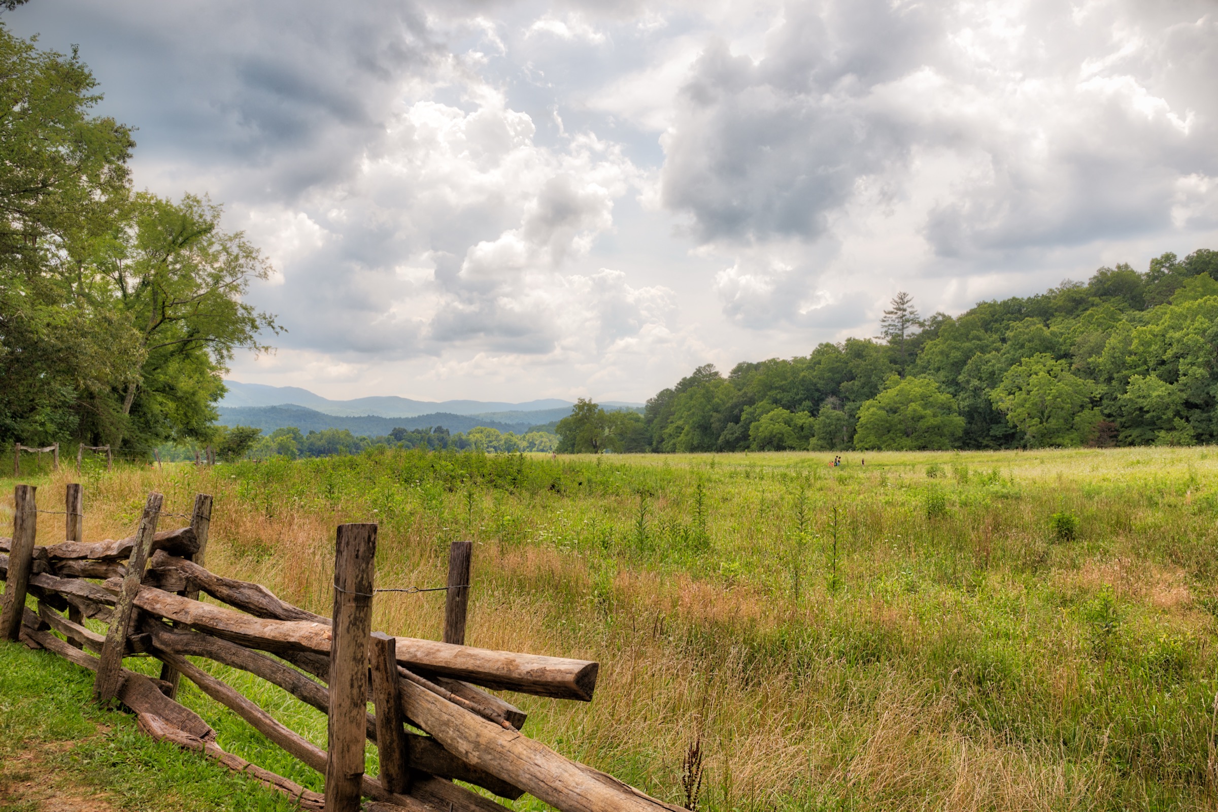 Rolling green fields with split-rail fence and Blue Ridge Mountains in Sullivan County, Tennessee